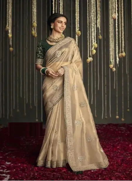 Tew Fancy Designer Work Sarees Collections Wholesalers In Delhi